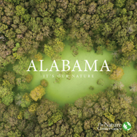 A report features an aerial view of a dense forest and the word "ALABAMA."