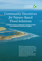 Community Incentives for Nature-Based Flood Solutions