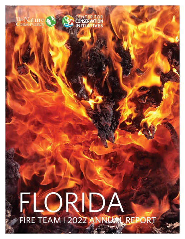 Florida Impact Report cover with flames.