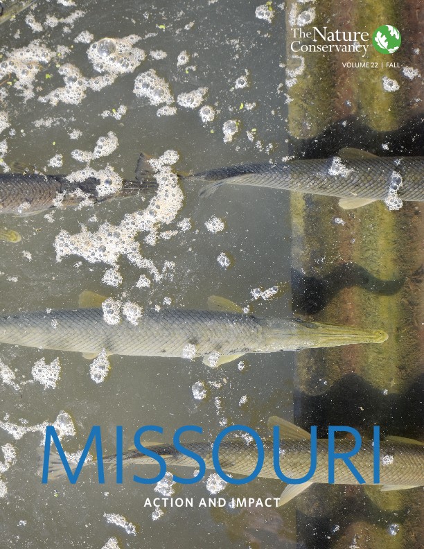 2022 Missouri Action and Impact Report.