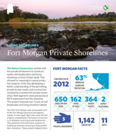 Living Shorelines project at Fort Morgan