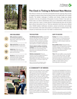 A PDF about Reforestation in New Mexico.