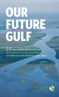 Our Future Gulf 2.0: Recommendations for restoration and conservation of the Gulf of Mexico (2021-2024).