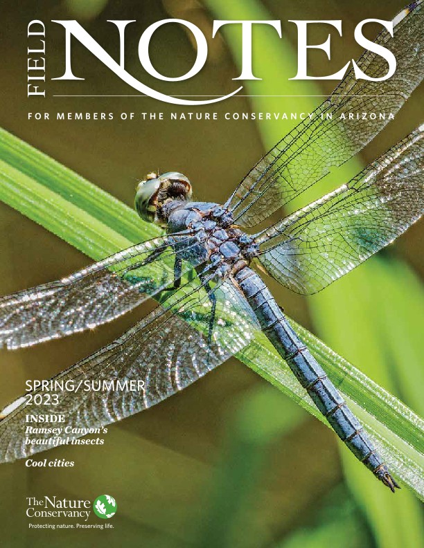 Cover of the Spring/Summer 2023 Field Notes Magazine
