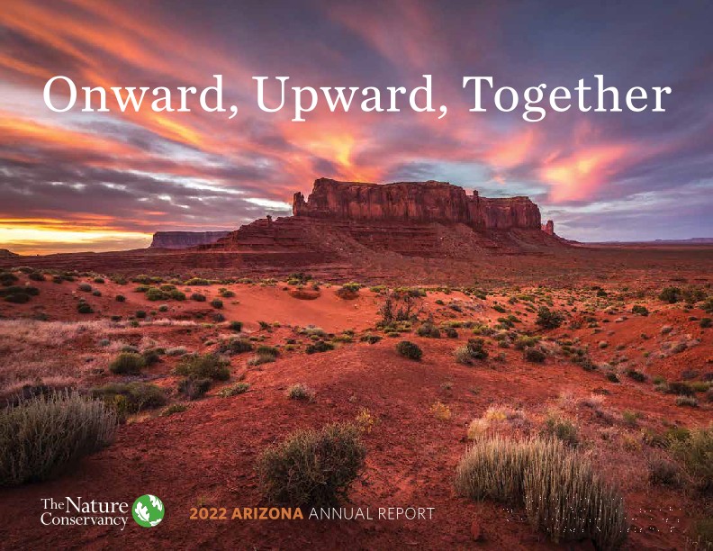 2022 Arizona Annual Report Cover