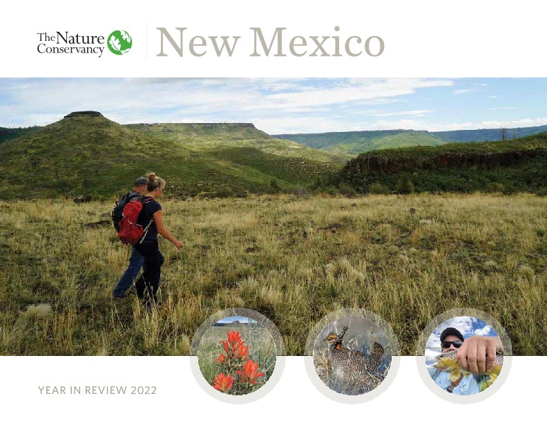 New Mexico's Year in Review report cover.