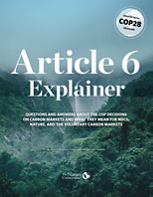 Cover of the Article 6 Explainer document.