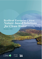 Nature-Based Solutions for Clean Water