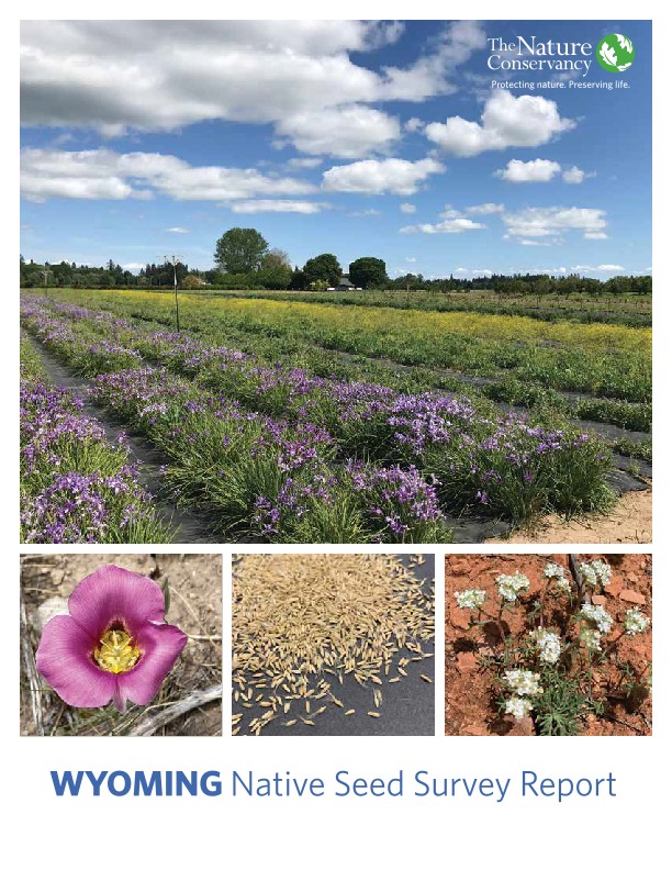 Cover of the Wyoming native seed survey report.