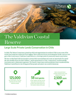 The Valdivian Coastal Reserve is living proof that people and nature can coexist in harmony. 