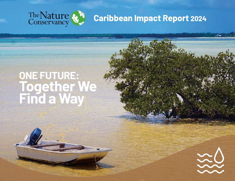 Cover of the Caribbean Impact Report.