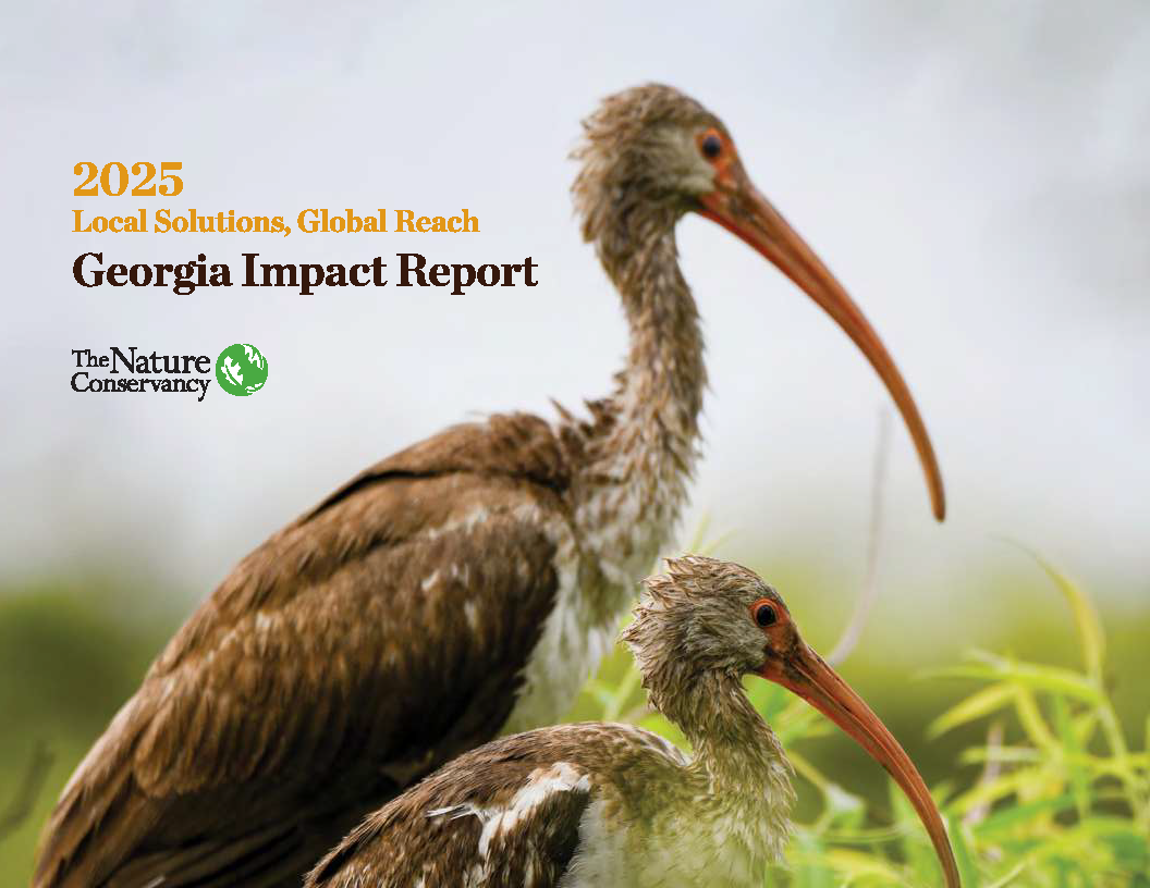 GA 2025 Impact Report Cover.