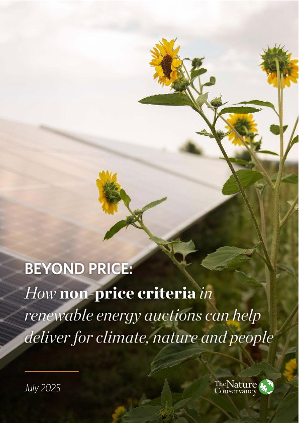 report cover: solar panel and sunflowers.