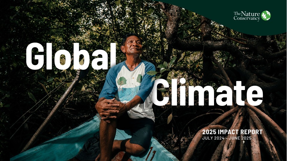 Results from TNC's Global Climate Team - July 2024-June 2025