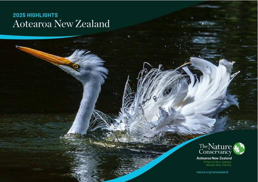 Cover of the Aotearoa New Zealand 2025 Highlights.