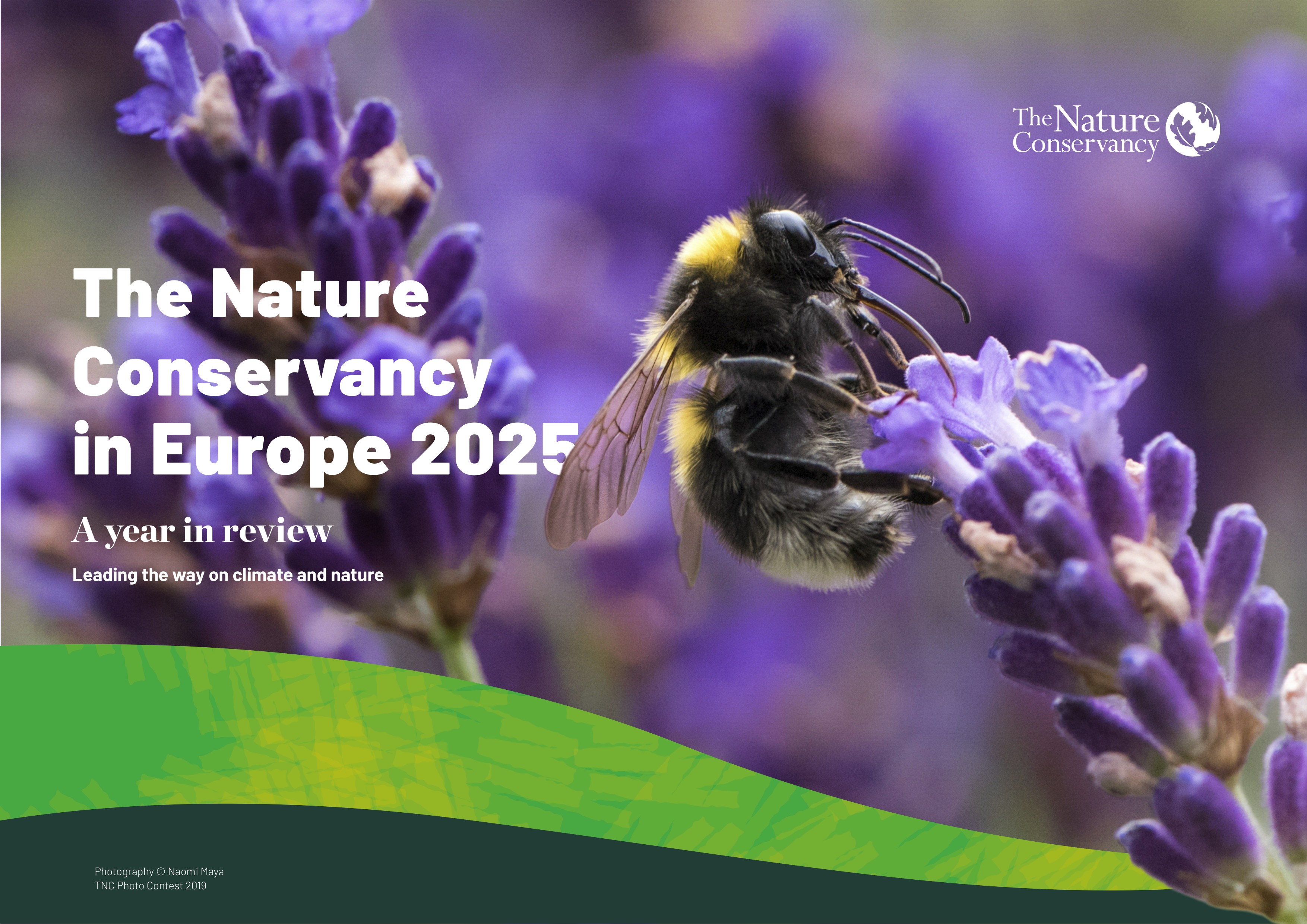 TNC Europe 2025 Year in Review cover.