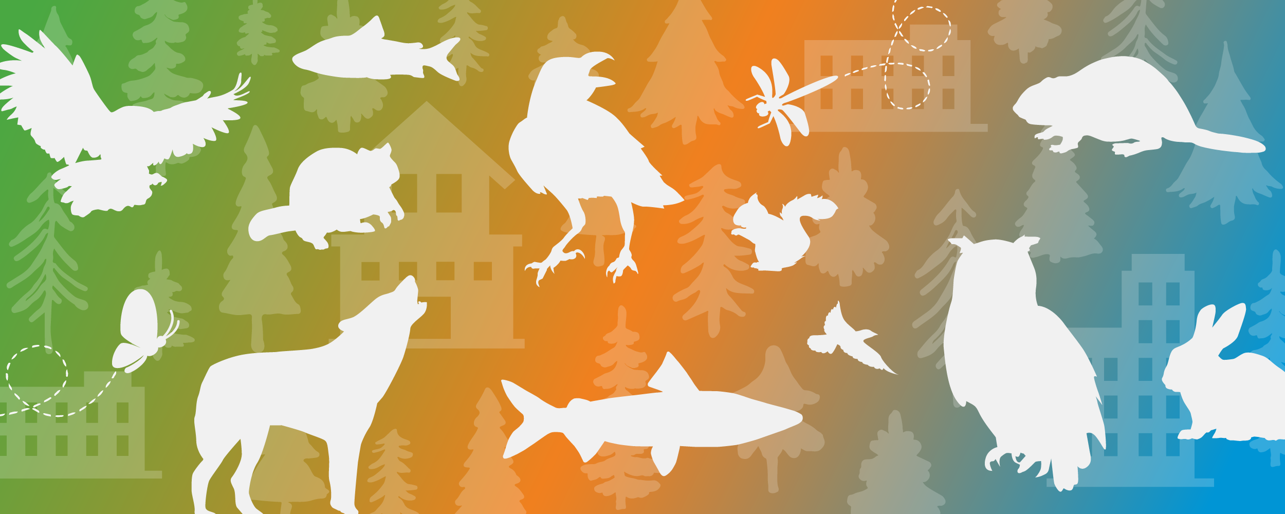 Outlines of different species of wildlife over a colorful background. 