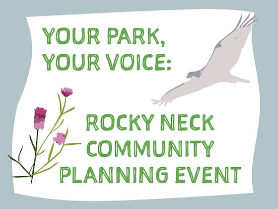 Promotional flyer for the Rocky Neck Community Planning Event, featuring the text Your Park, Your Voice: along with an illustration of a flying bird and flowers.