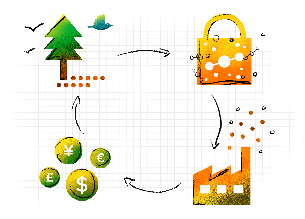 a flow chart illustration showing four stages. 1. a tree with birds pointing to 2. a lock with a carbon molecule on it, pointing to 3. a factory visual pointing to 4. four coins with different global currencies represented, pointing back to the first stage, the tree.