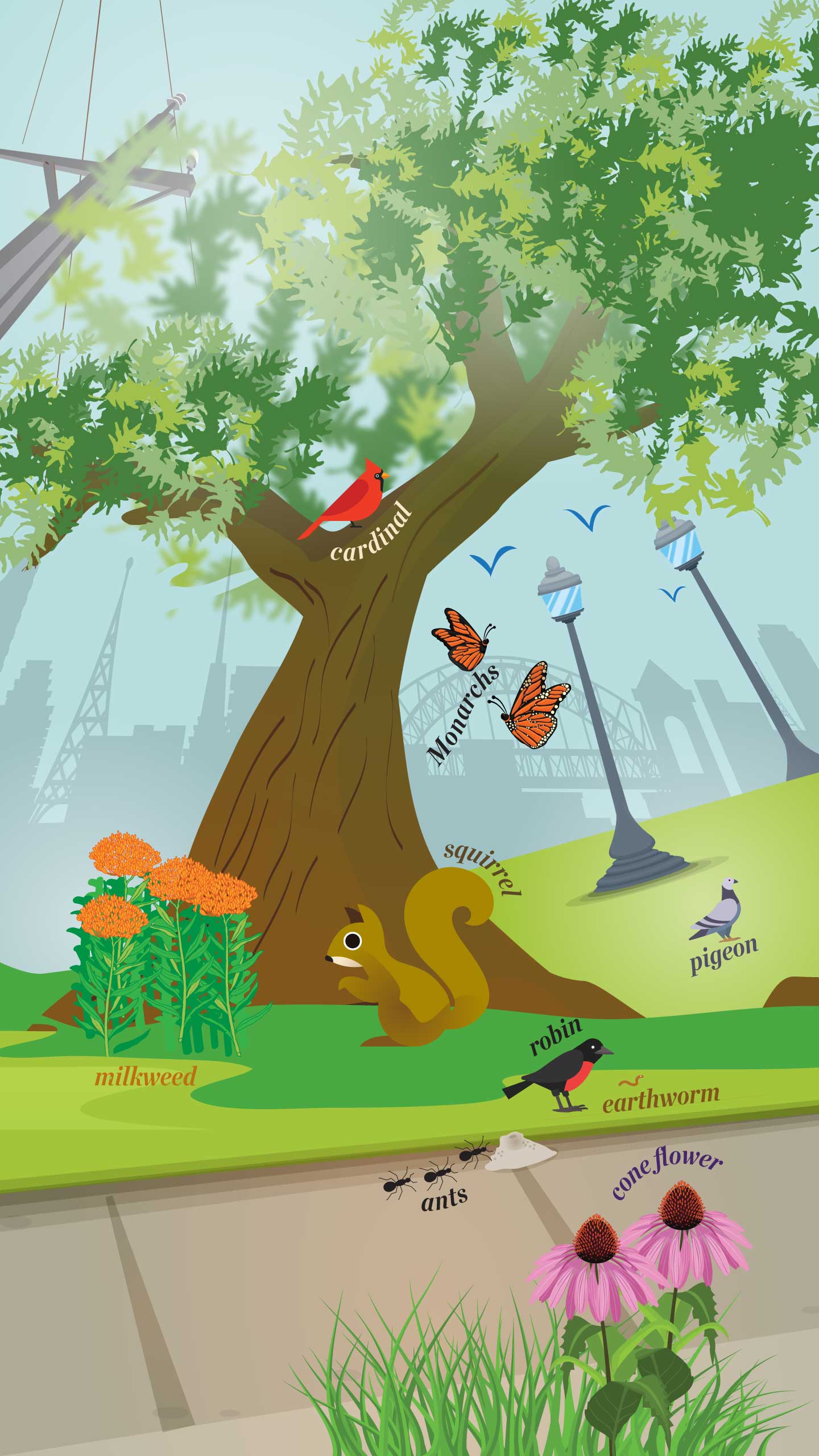 Illustration of a park showing the flora and fauna. 