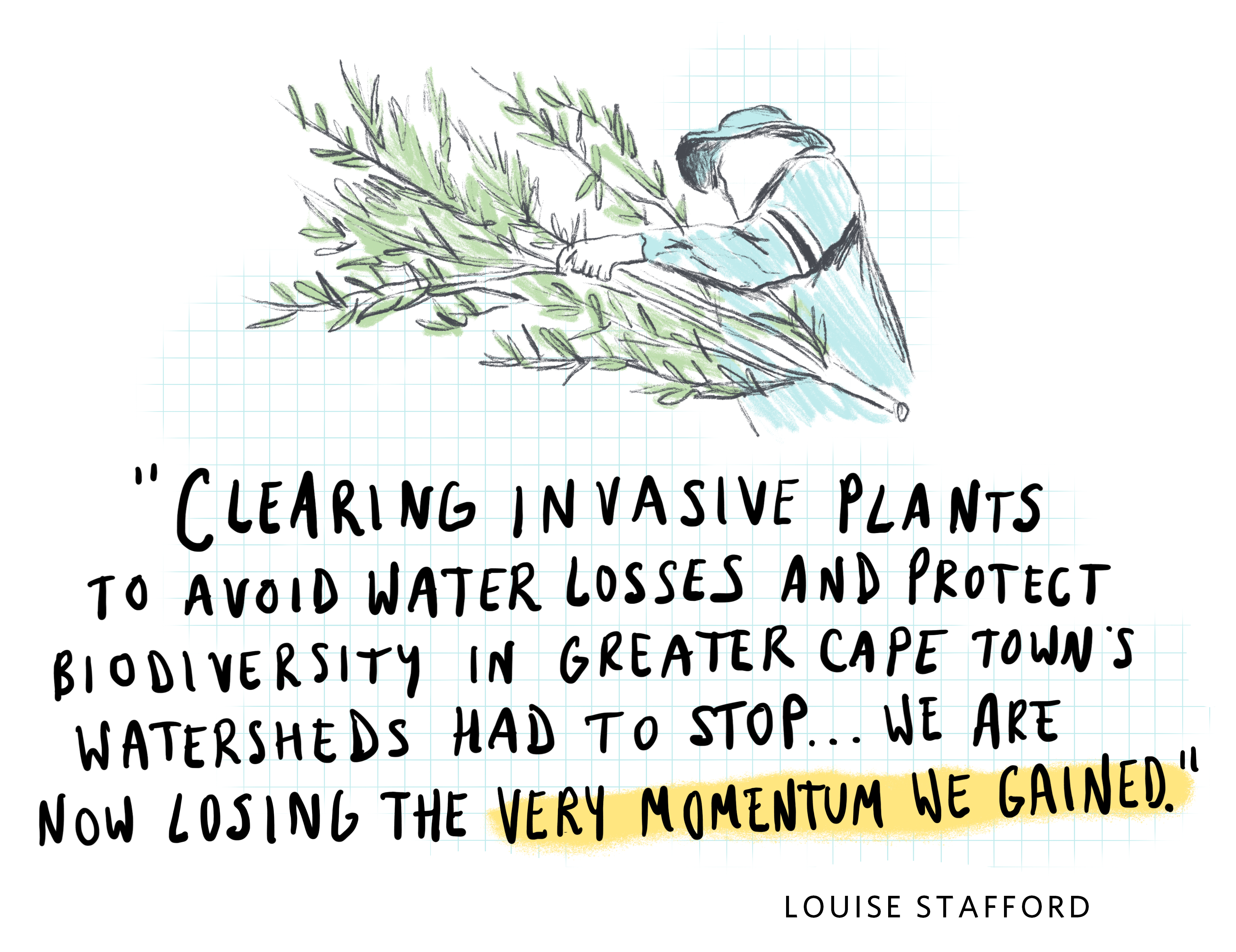 a sketchy illustration of a person carrying tree branches, with a handwritten quote underneath that says 'clearing invasive plants to avoid water losses and protect biodiversity in greater Cape Town's watersheds had to stop...we are now losing the very momentum we gained.'