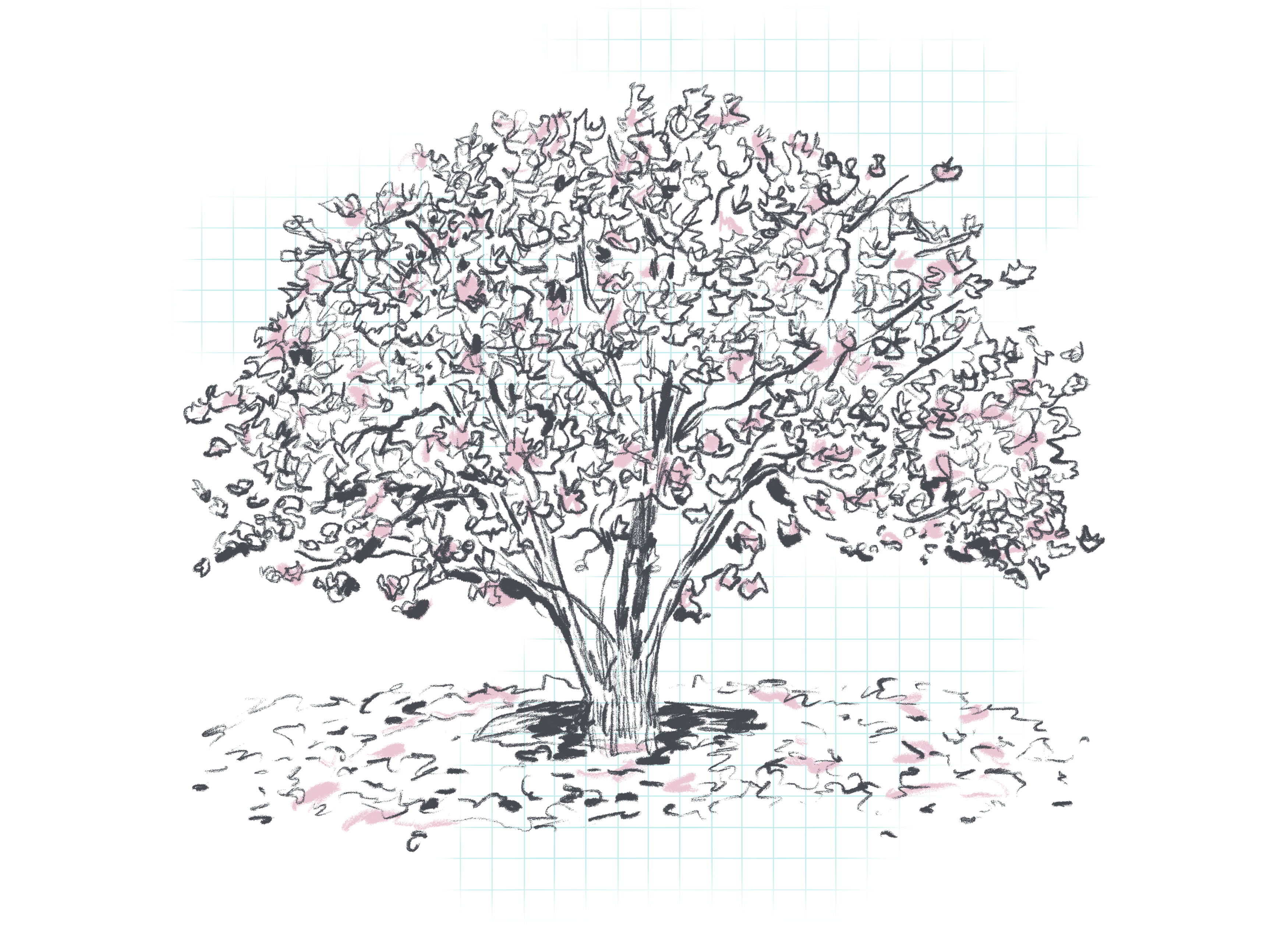 a sketchy illustration of a magnolia tree in bloom with pink petals scattered on the ground