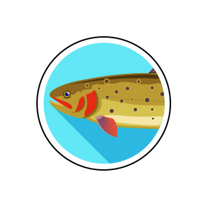 an illustration of a fish.