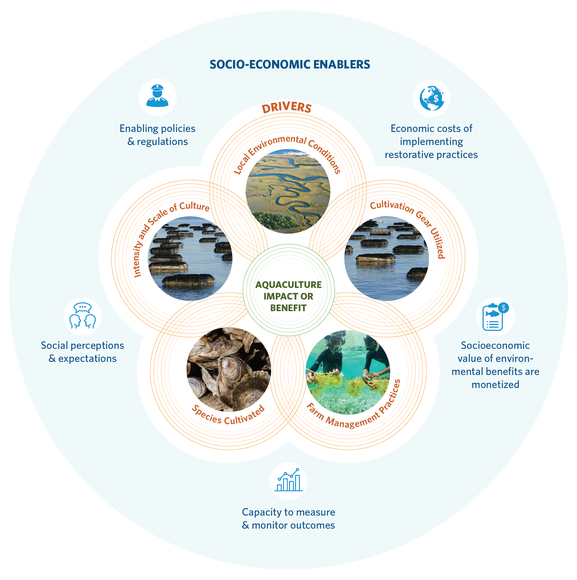a circular graphic showing the interaction of socio-economic enablers, drivers, and aquaculture impact or benefit