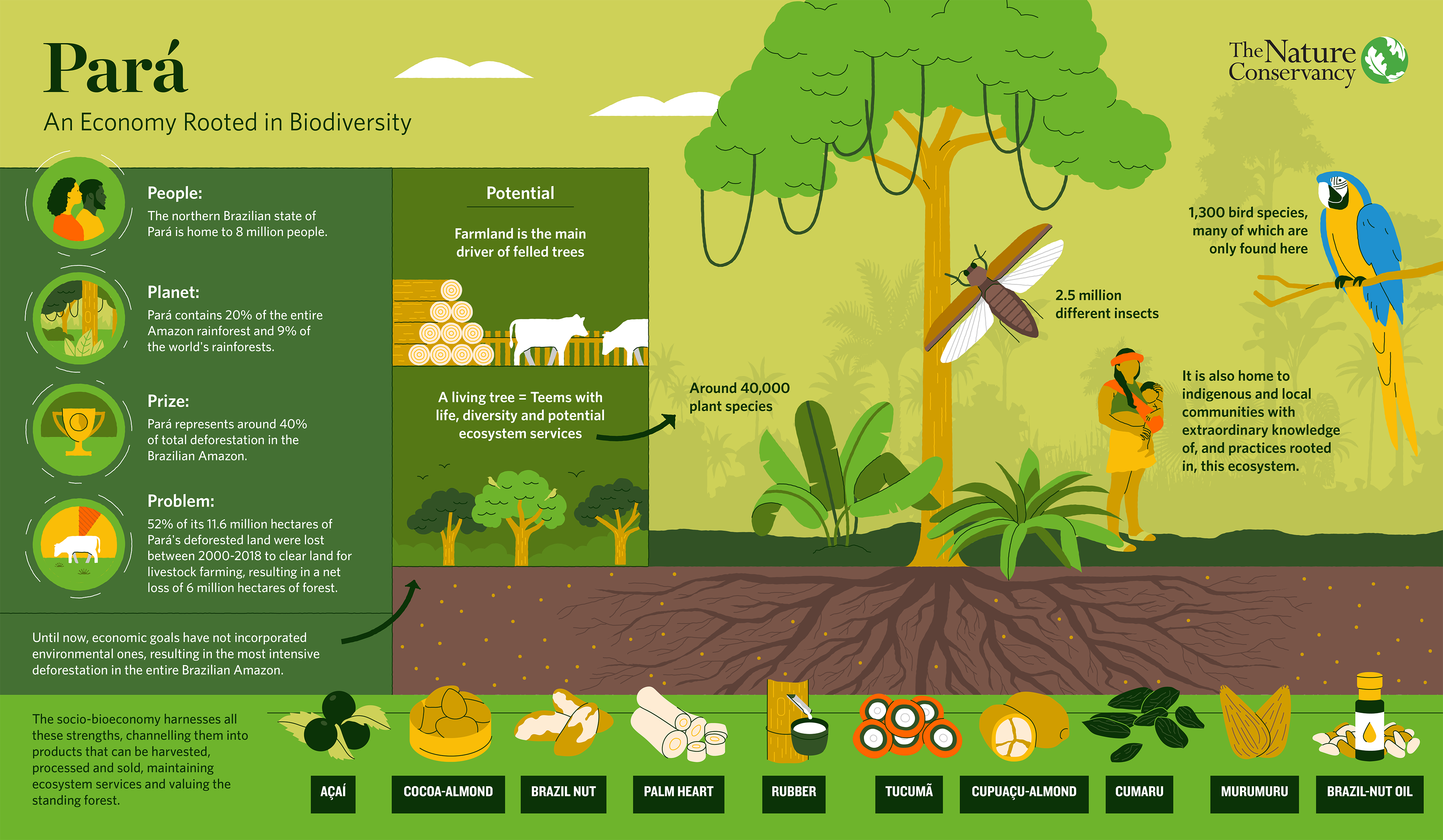 thumbnail of infographic with green, yellow and orange text and illustration