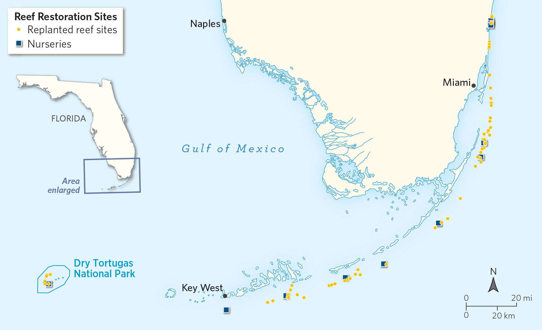 a map shows the tip of South Florida and the Keys, with dots marking coral nurseries