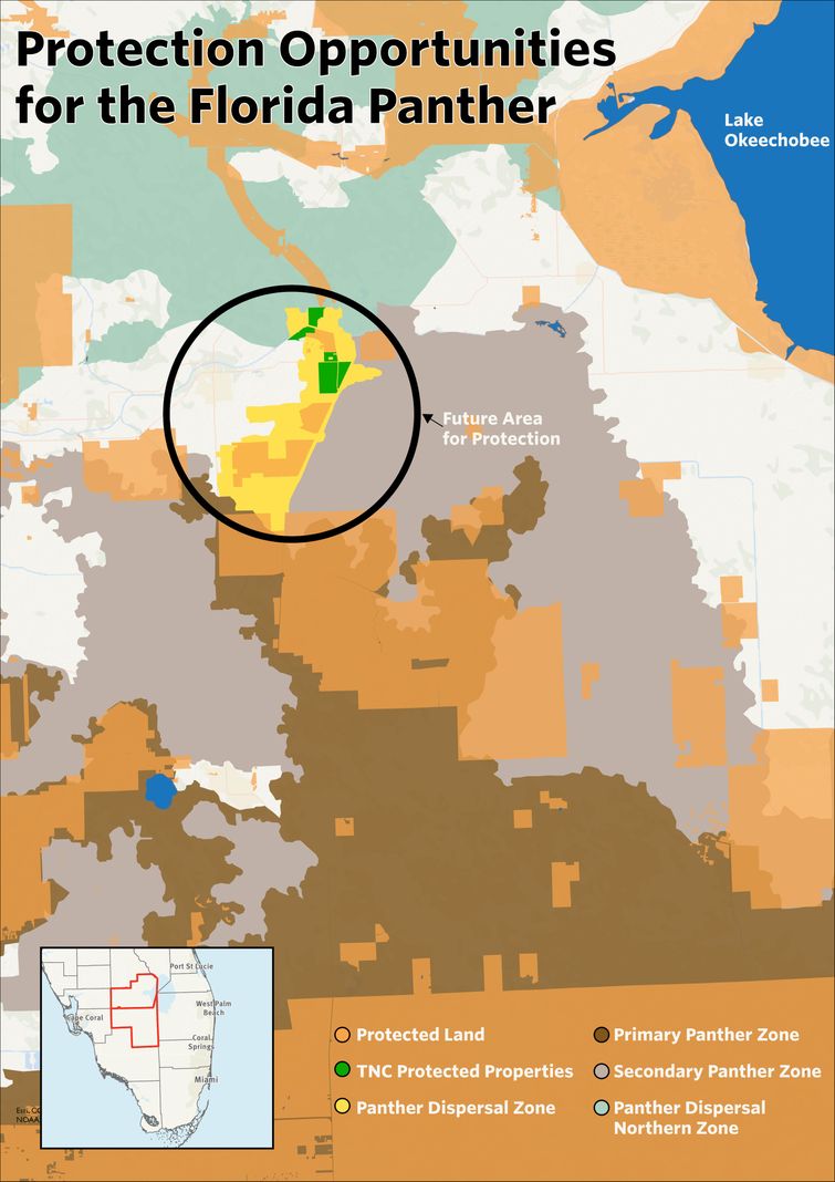 Florida panther land protection map. 