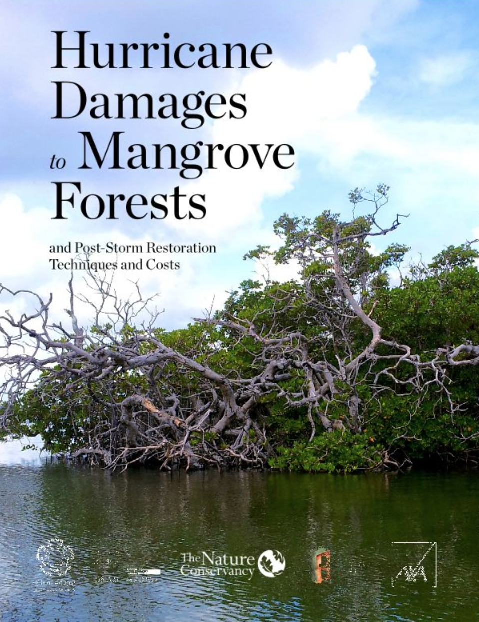 Text that Says Hurricane Damages to Mangrove Forests over a landscape image of mangroves.