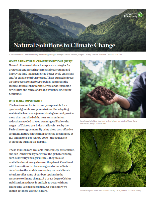 NCS incorporates strategies to better avoid emissions and/or enhance carbon storage.
