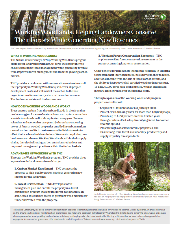 Helping Landowners Conserve Their Forests While Generating New Revenues