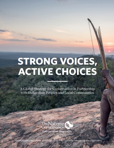 Report Cover - Strong Voices, Active Choices (2016)