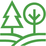 A graphic of trees.