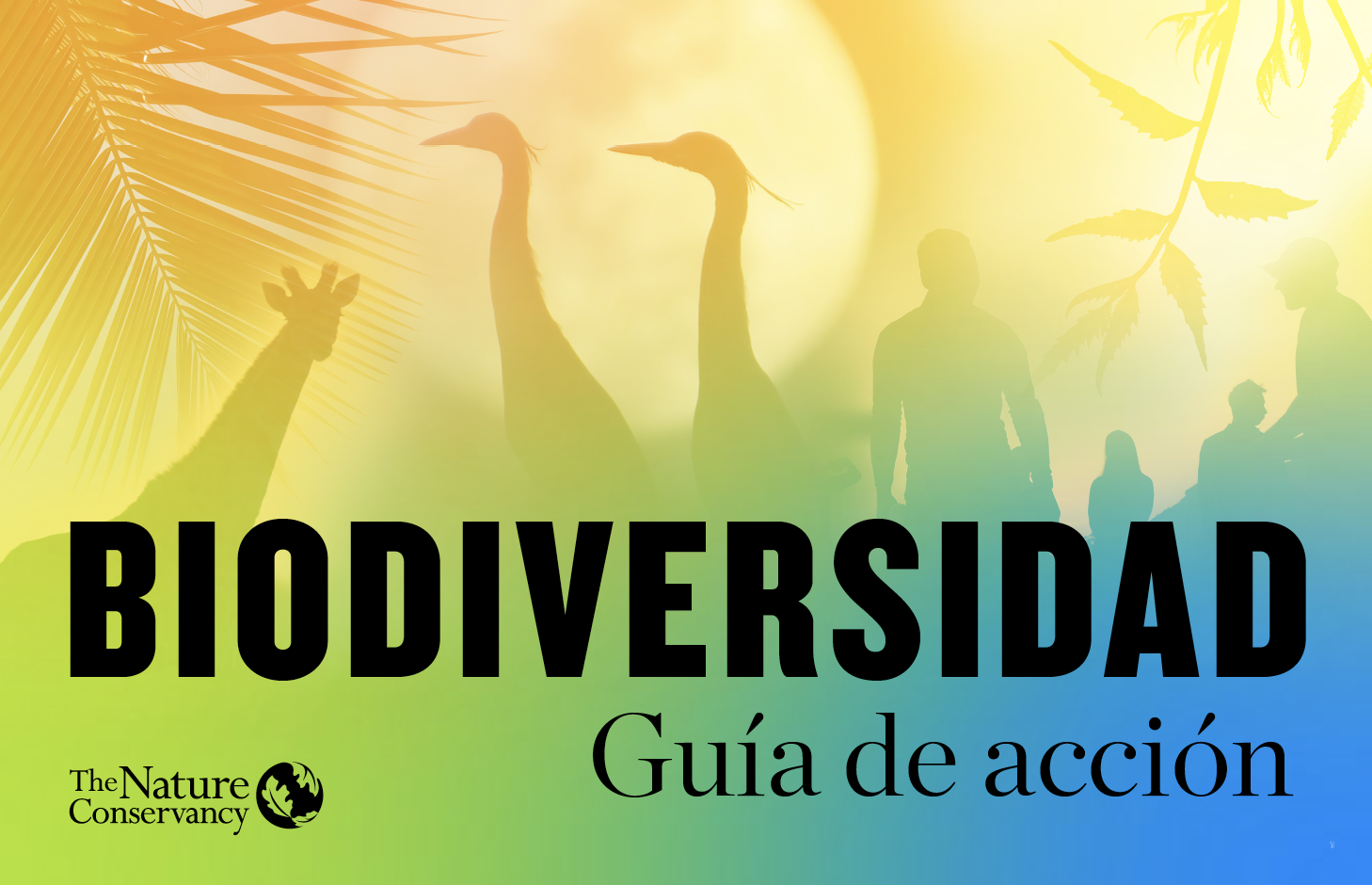 Cover of Spanish edition of Biodiversity Action Guide.
