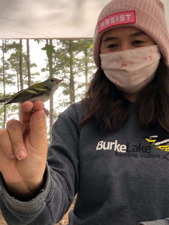 Closeup of a woman holding a small brown songbird in her hand, with its feet and legs between her fingers.