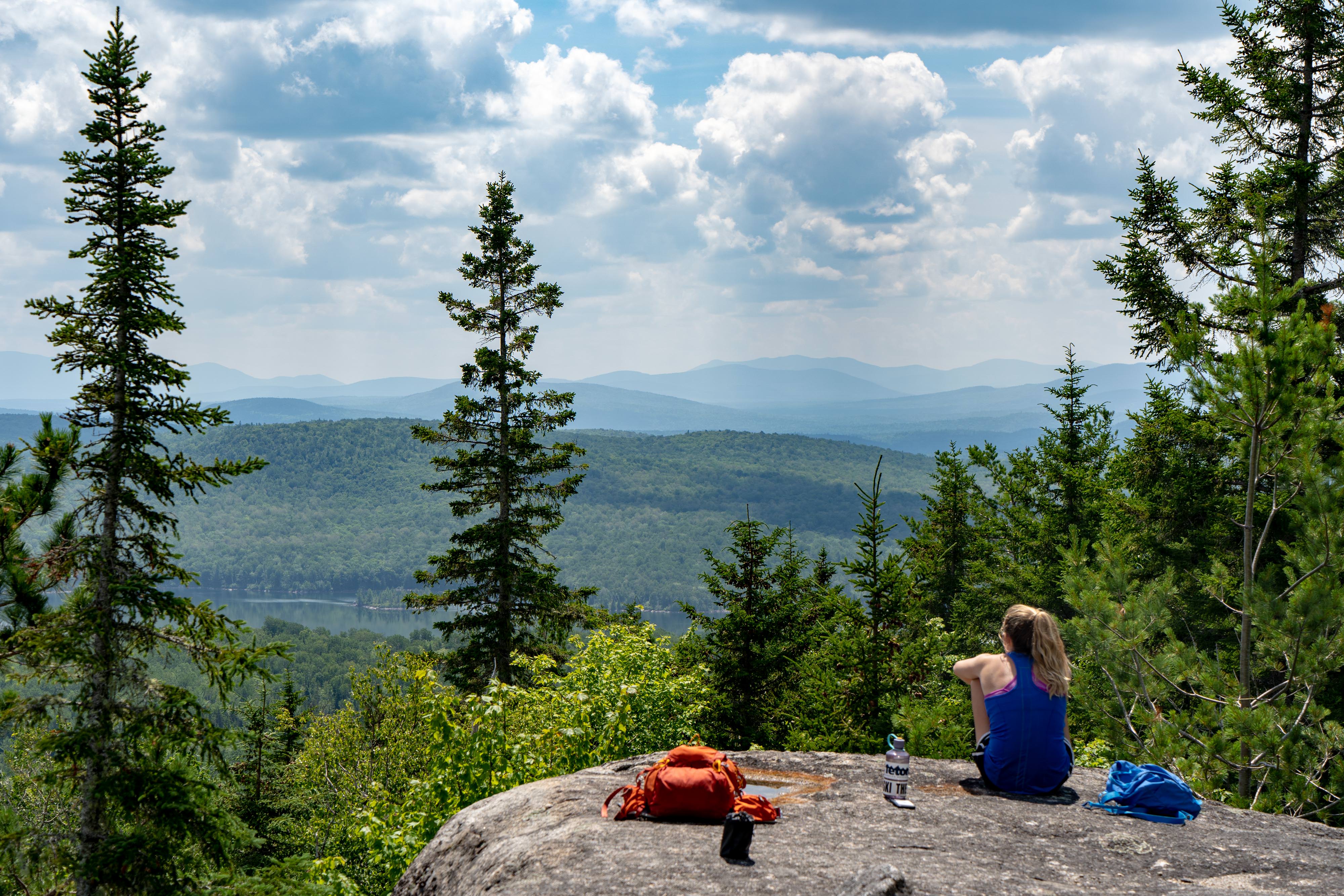 A view of forested mountains with evergreen trees in the foreground.