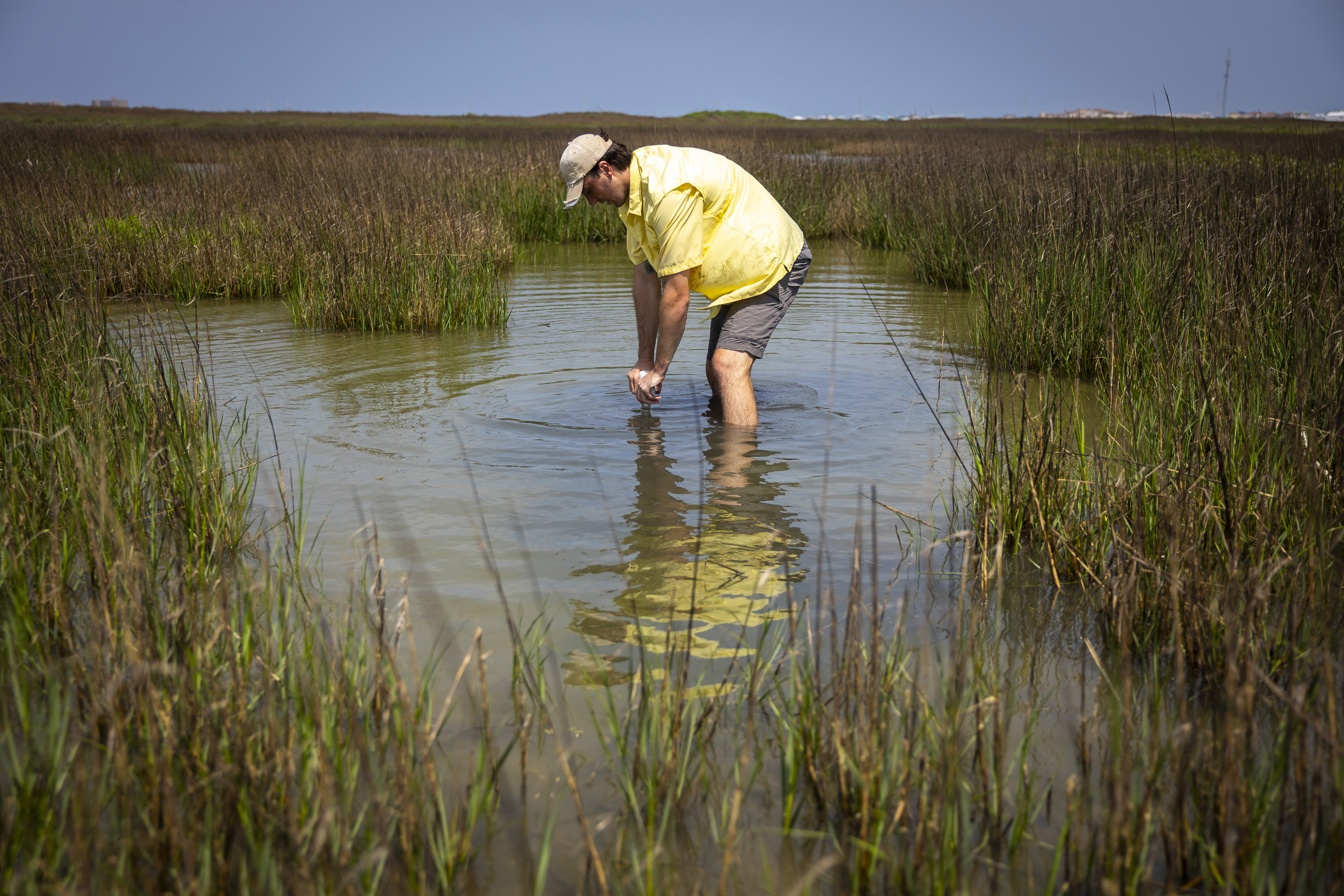 A man stands in marsh water, submerging a tool into its depths.