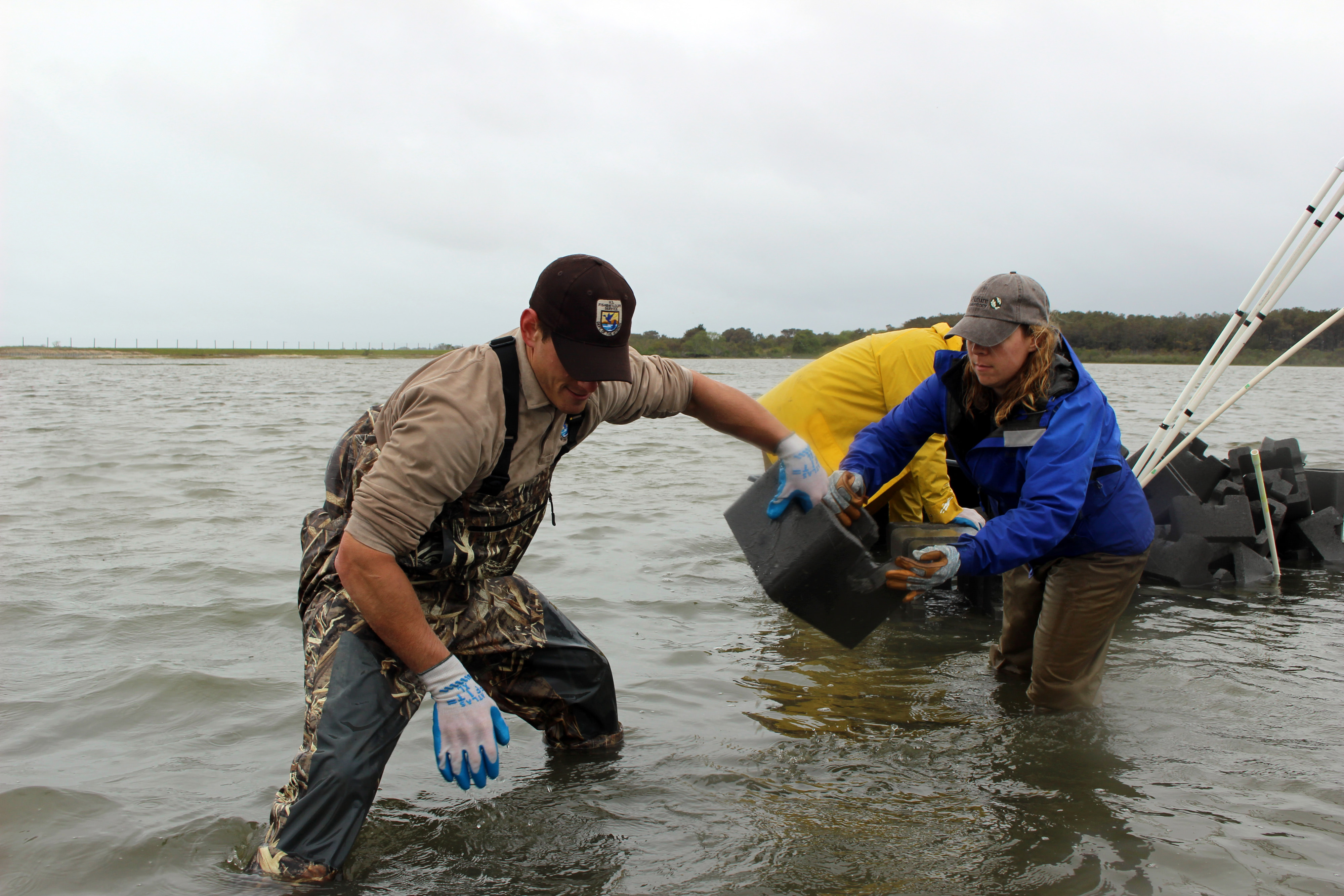 A woman hands an oyster castle, a square block of concrete, to a man. They are both standing in knee deep water.