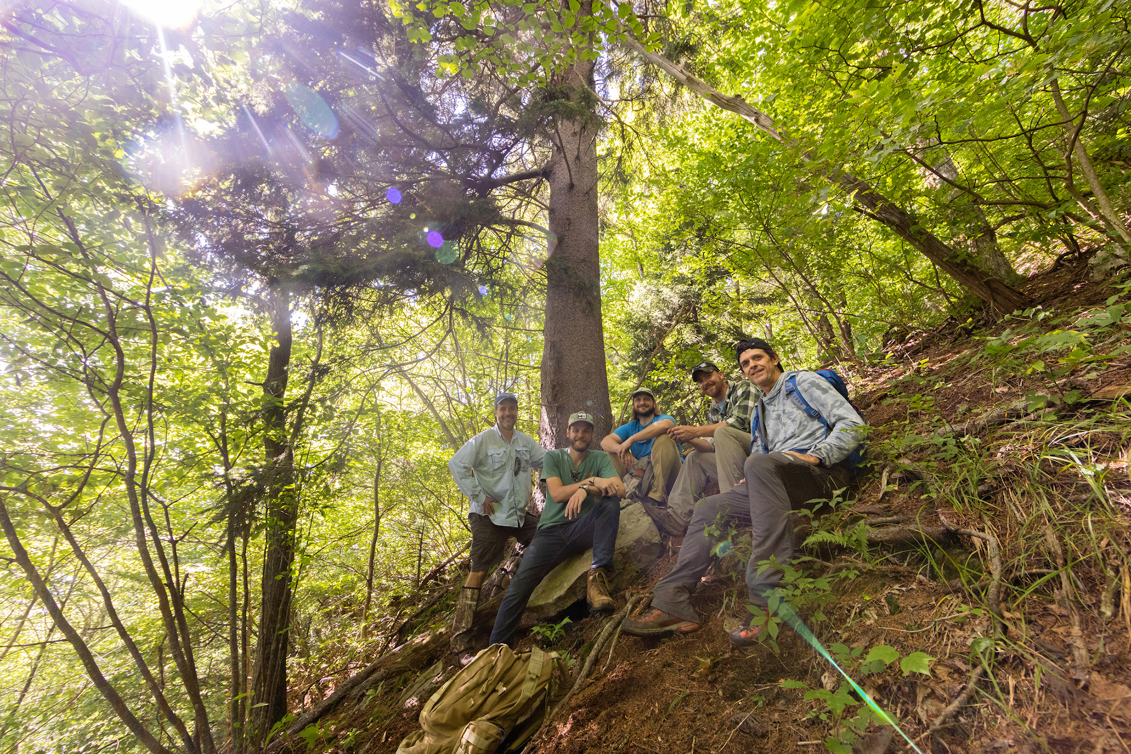 Five men sit together under a tree on a steep incline in a mountain forest. The sun creates a flare as it shines through the canopy overhead.