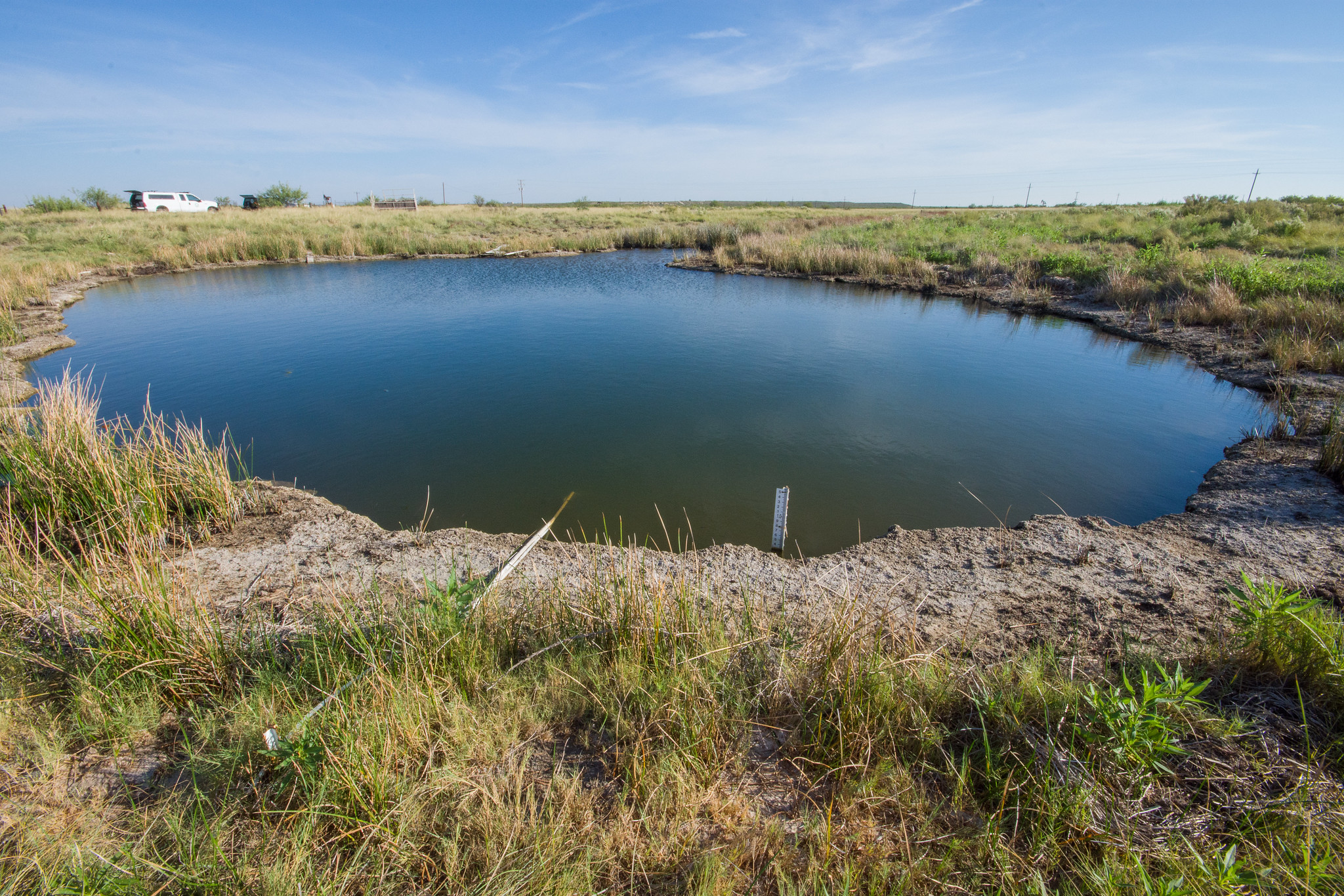 A round blue pond surrounded by tall grass.