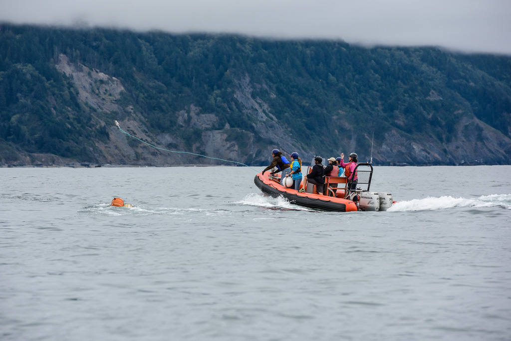 California Dungeness crab fishermen and ocean users ride in a zodiac boat toward rock cliffs.