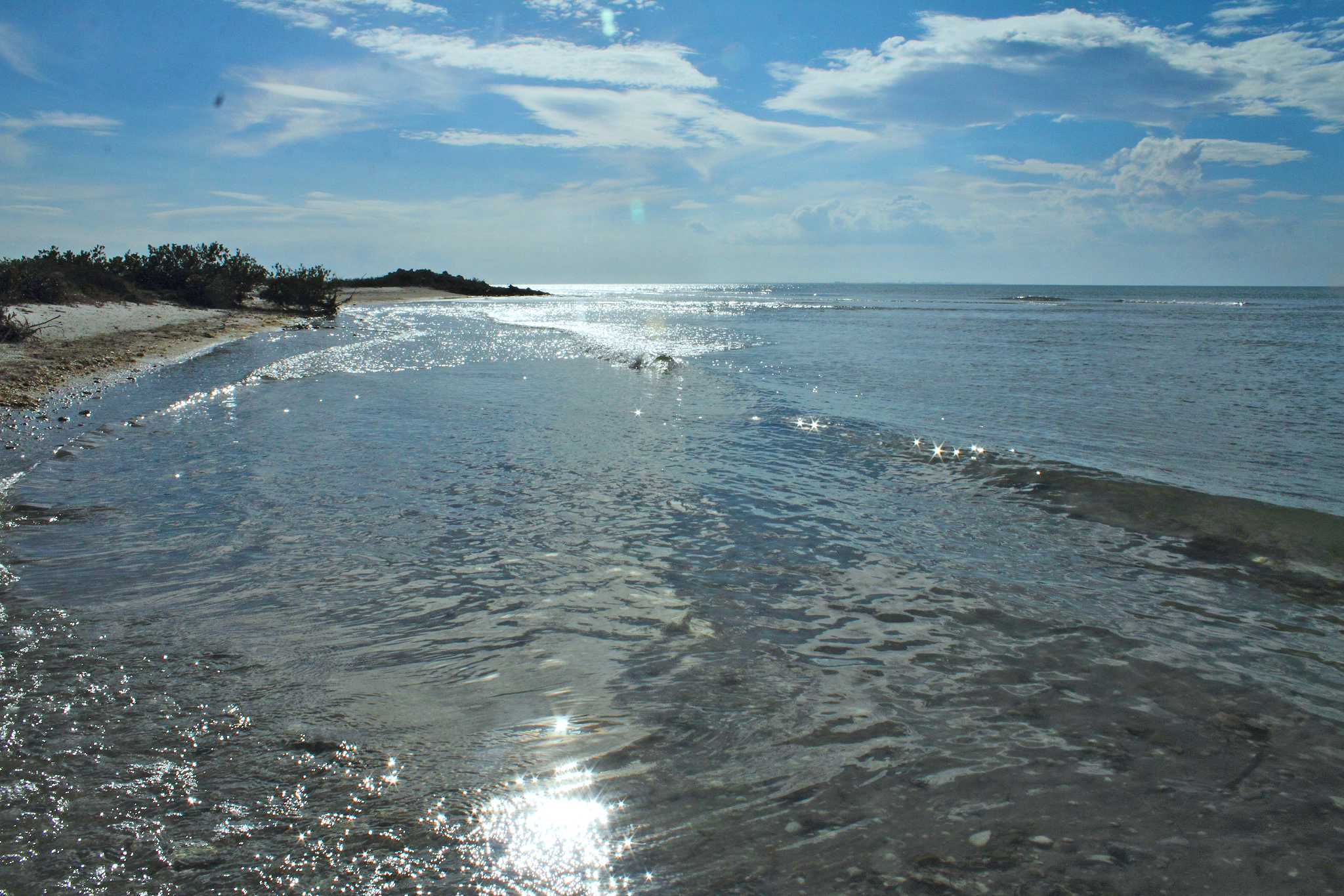 Sunny sky illuminates ocean waves as they meet the shoreline.