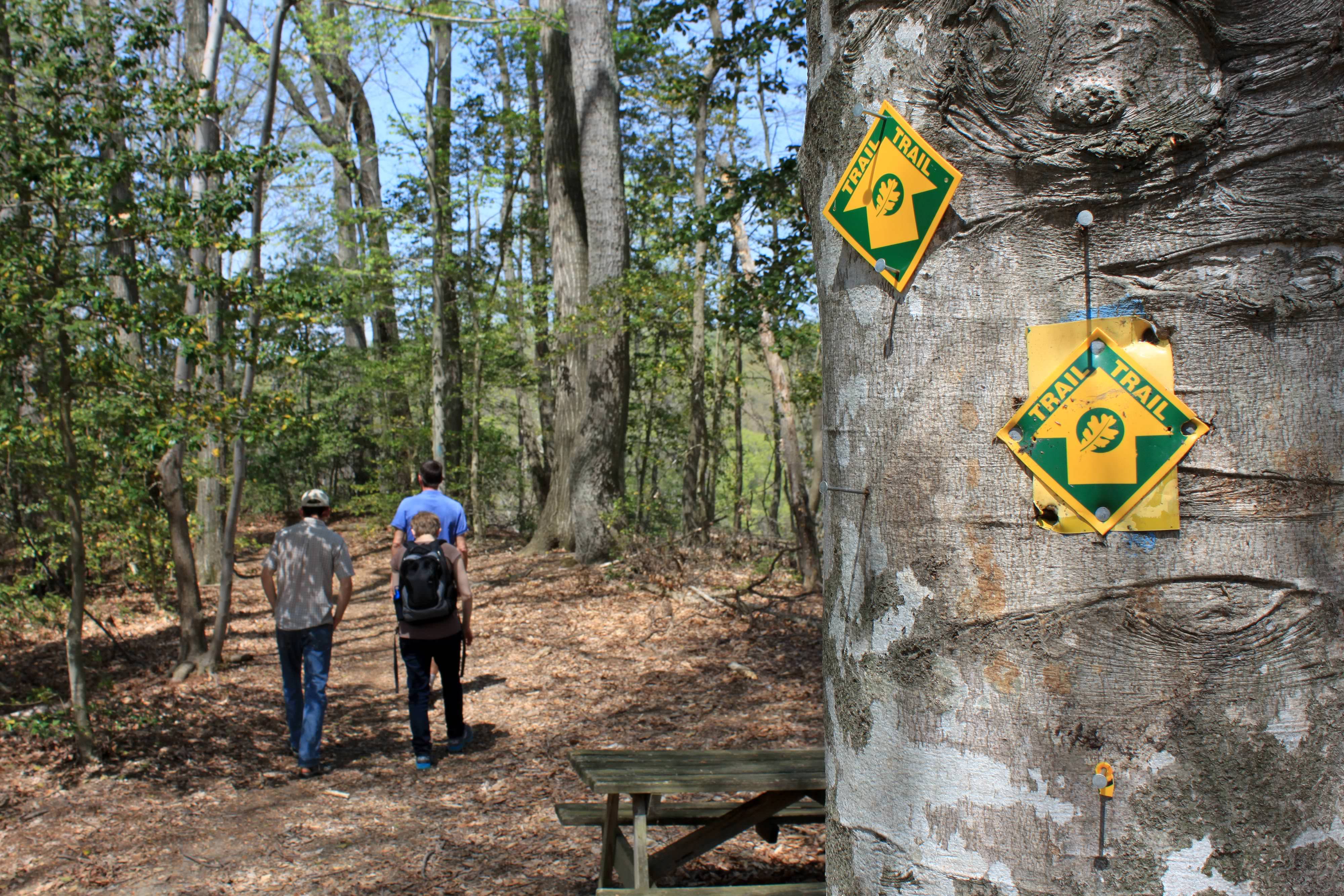 Three people walk past a picnic table following a leaf covered path into a thick green forest. A yellow and green trail blaze sign nailed to a tree marks the way forward.