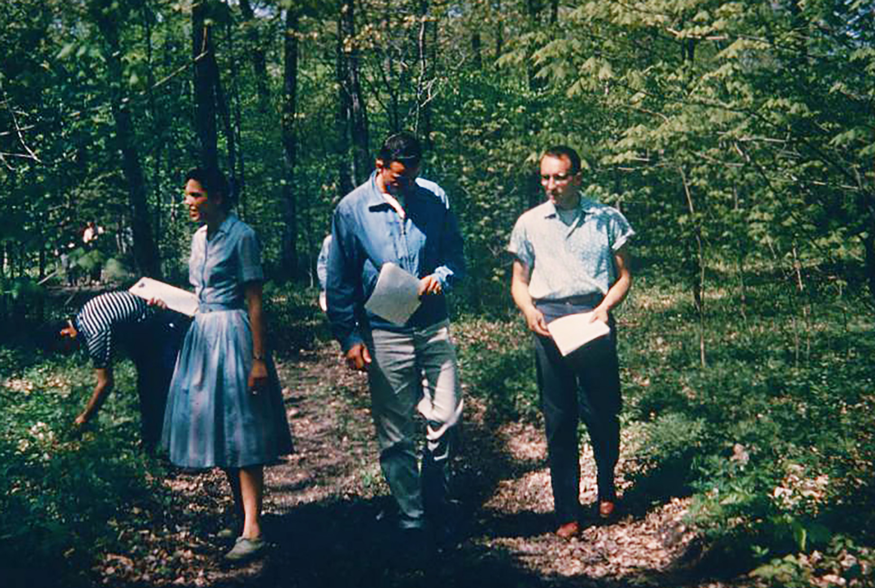 Four people standing in the forest with clipboards.