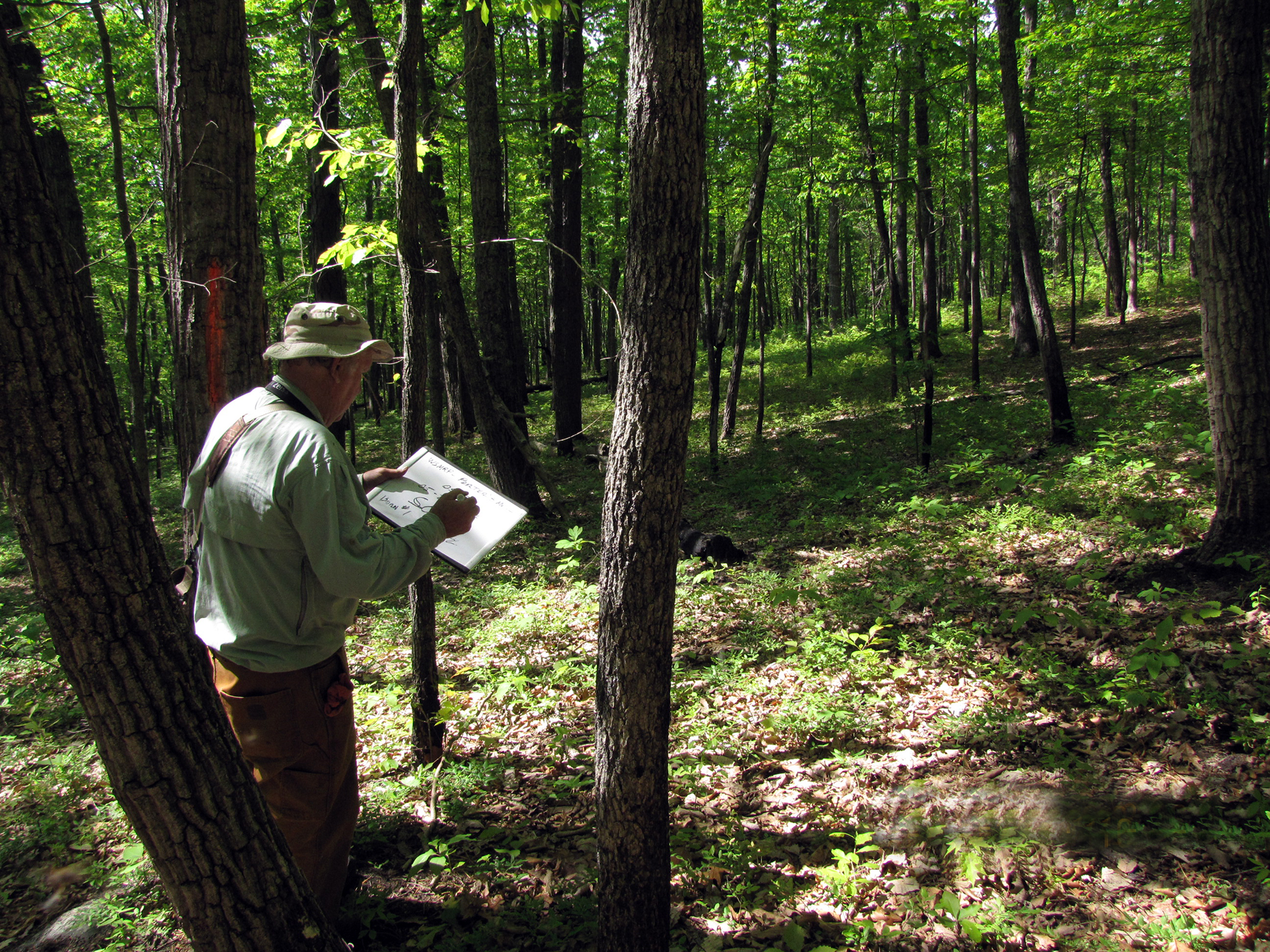 A man stands in a forest holding a clipboard and recording notes about the bird species observed in the area. Light dapples the forest floor as it filters through the thick trees.