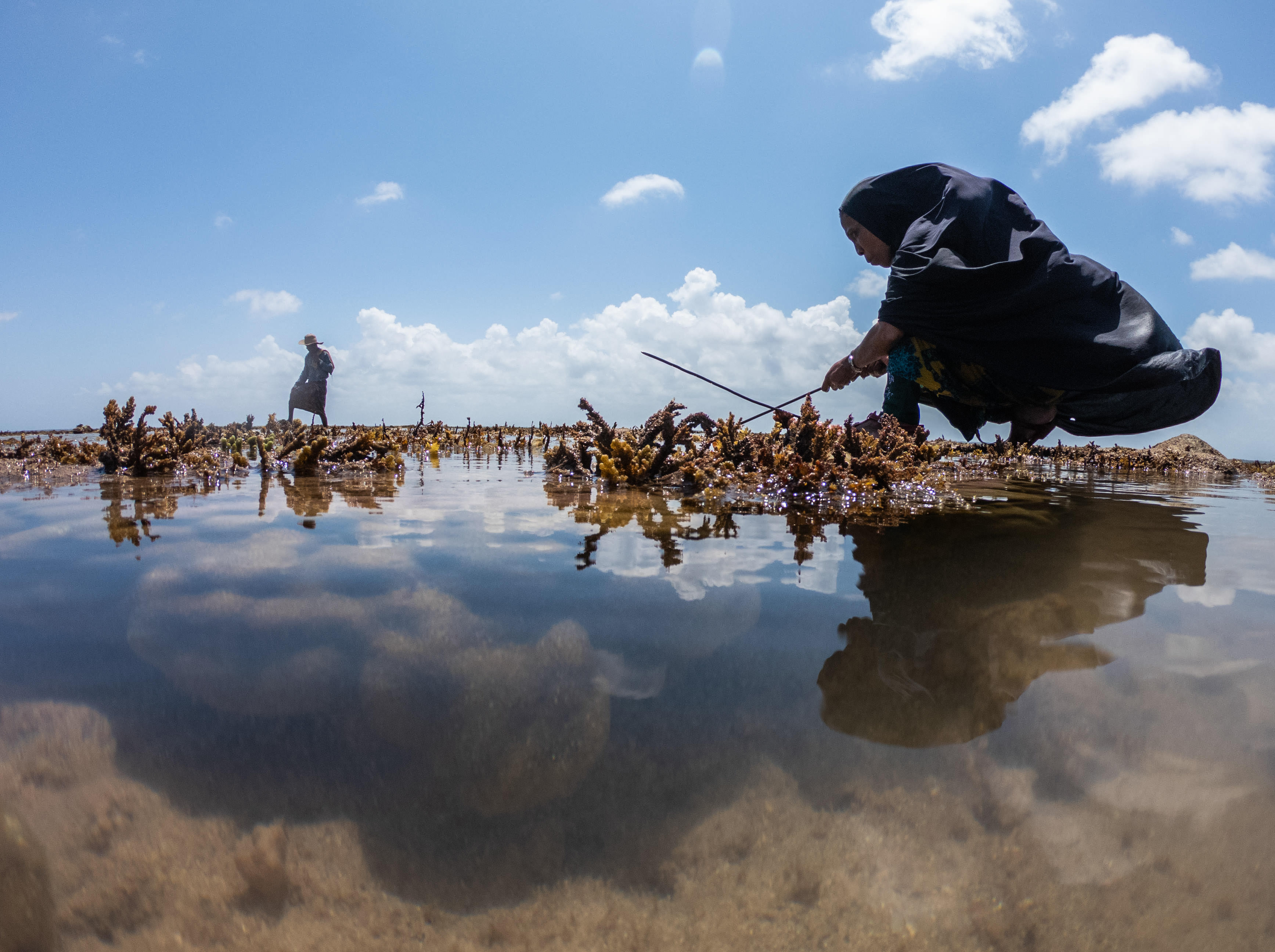 woman in shallow coral