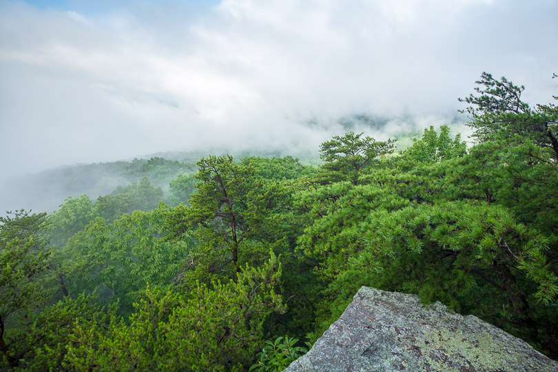 Clouds cover a rocky outcrop surrounded by trees.